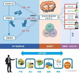 大數(shù)據(jù)與區(qū)塊鏈技術 構(gòu)筑食品安全新防線